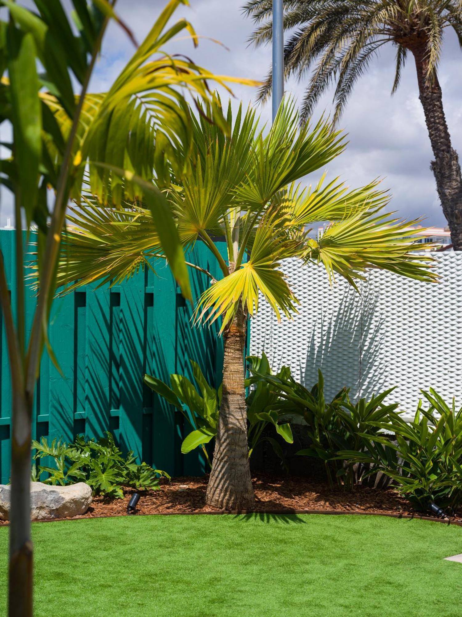 Miami Queens Villa With Private Pool By Tenpropertiesgc San Bartolomé Eksteriør billede